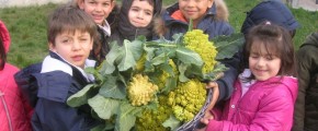 Festa Nazionale Slow Food