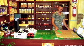 L'OASI DELLA FRUTTA E VERDURA s.n.c. di Stefano Ugolini e Gabriele Zappalorto
