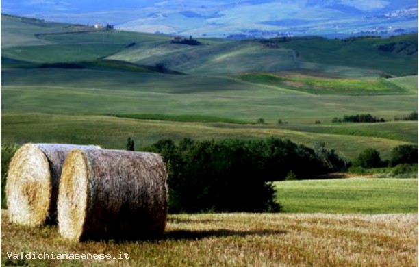 Le strade della Val d'Orcia