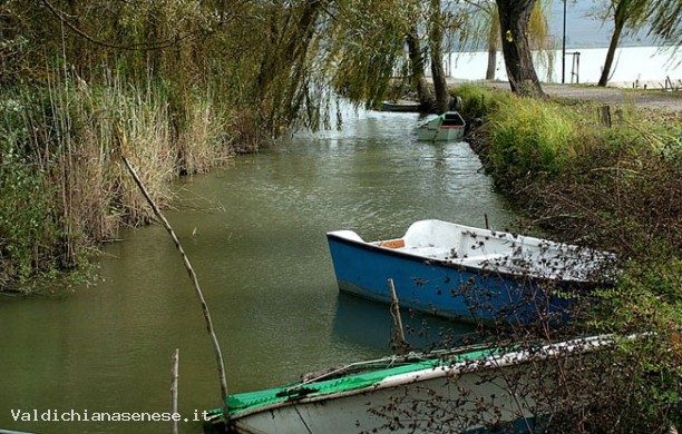 Laghi di Chiusi e di Montepulciano