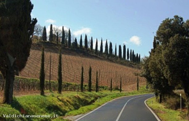 Magical ride between Pienza and Montepulciano