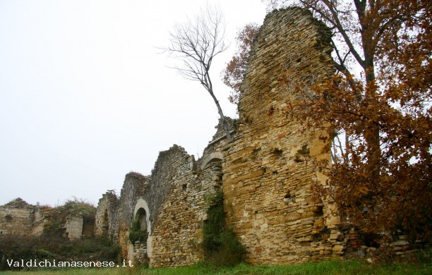 Abbazia di Santa Maria Assunta a Montefollonico (Ruderi)