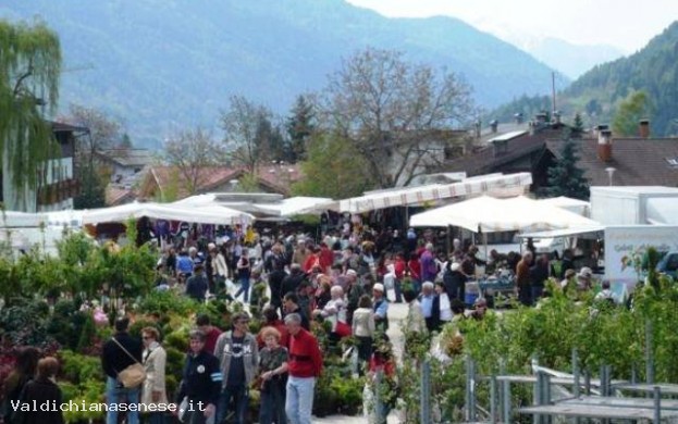 Mercato settimanale di Montepulciano